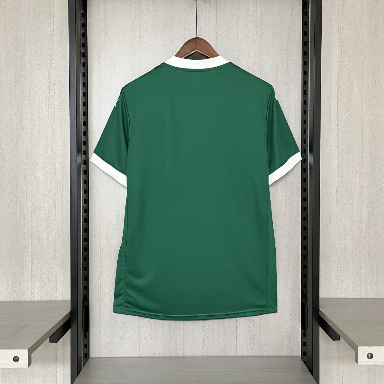 PALMEIRAS ID41